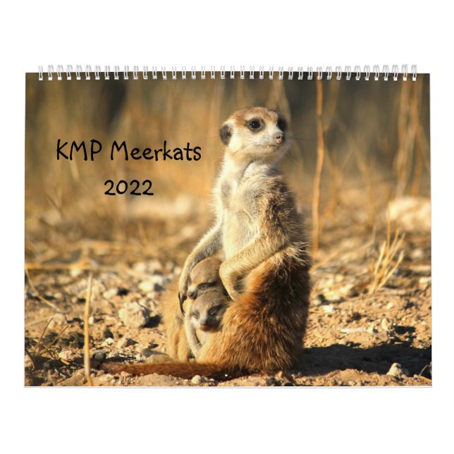 Calendario de KMP Meerkats 2022 (Tapa)