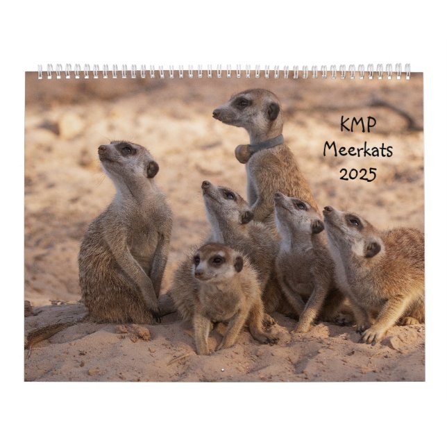 Calendario de KMP Meerkats 2025 (Tapa)