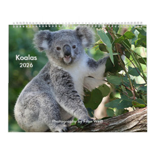 Calendario de Koala 2026, muy cortés
