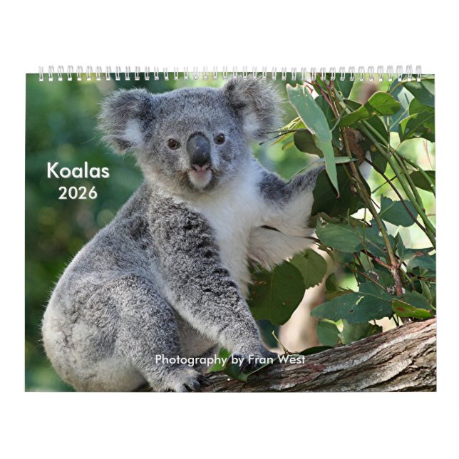 Calendario de Koala 2026, muy cortés (Tapa)