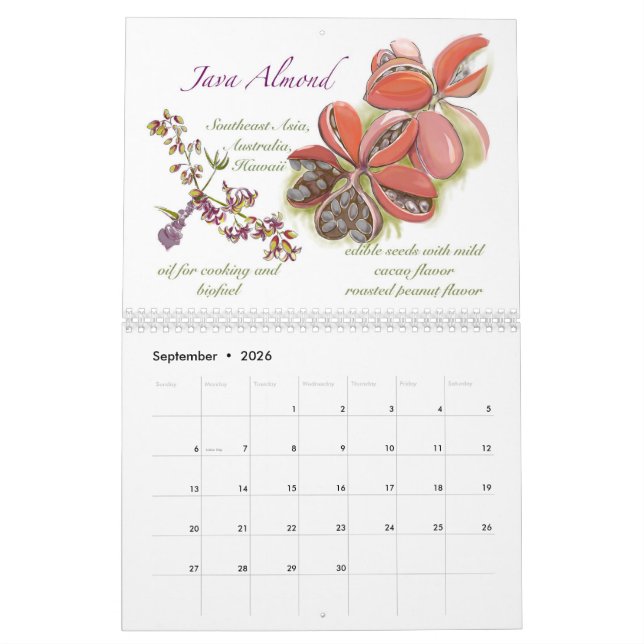 Calendario de Kwaj 2025 (Sep 2026)