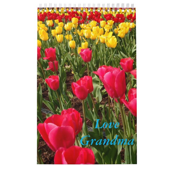 Calendario de la abuela del amor (Tapa)