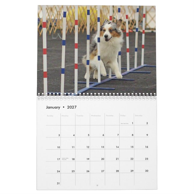 Calendario de la agilidad del pastor de 2014 (Jan 2027)