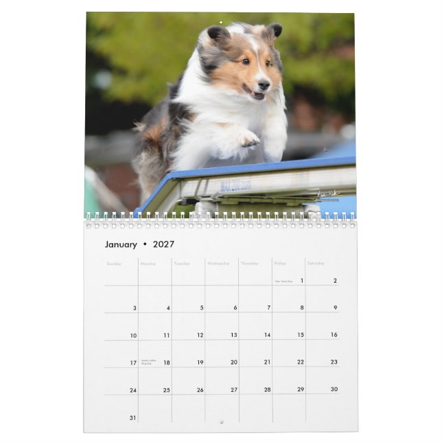 Calendario de la agilidad del perro pastor de (Jan 2027)