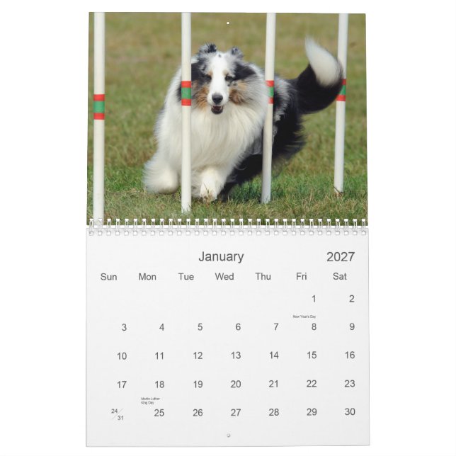 Calendario de la agilidad del perro pastor de (Jan 2027)