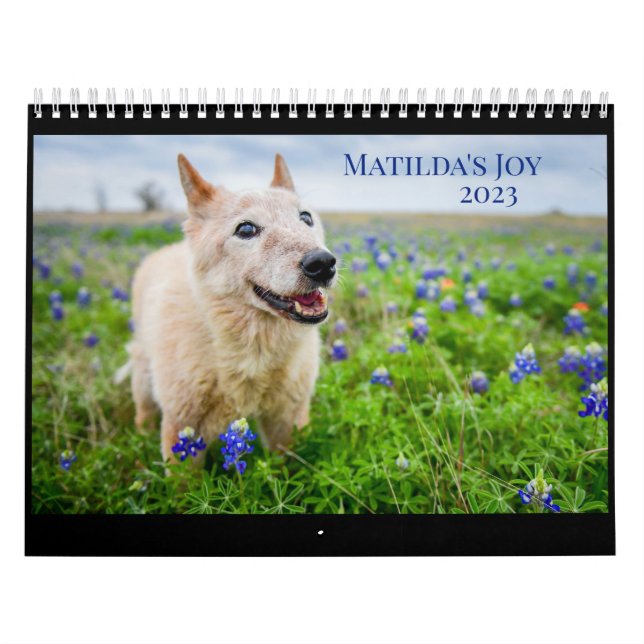 Calendario de la Alegría 2023 de Matilda (Tapa)