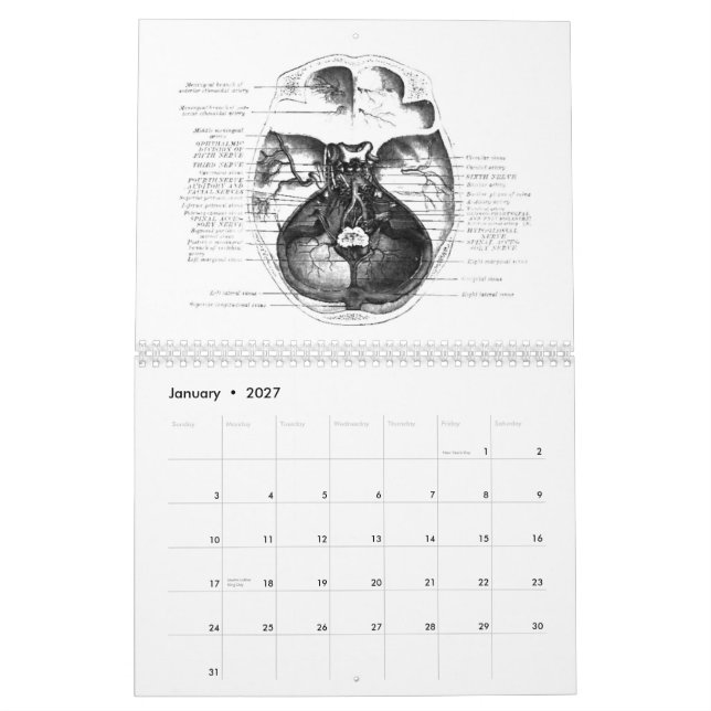 Calendario de la anatomía (Jan 2027)