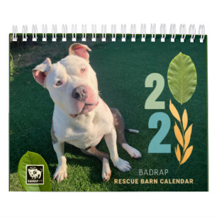 Calendario de la barra de rescate de BADRAP 2021