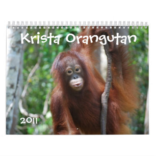 Calendario de la caridad de la fauna del orangután