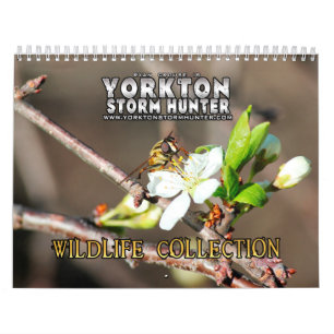 Calendario de la colección de la fotografía de la