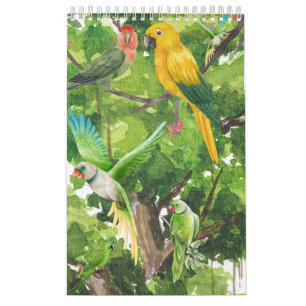Calendario de la colección de loros.