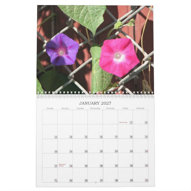 Calendario de la colección del jardín de Cindy (Jan 2027)