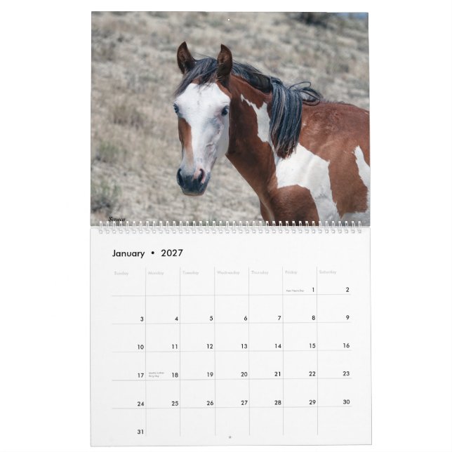 Calendario de la cuenca de lavado de arena 2021 (Jan 2027)