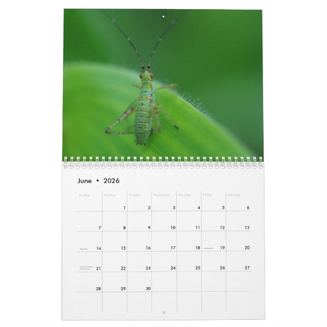 Calendario de la fascinación del insecto (Jun 2026)