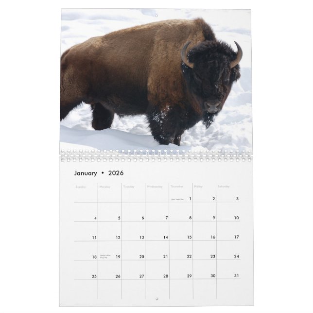 Calendario de la fauna (Jan 2026)