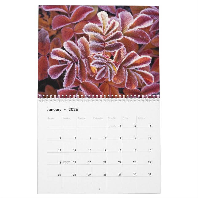 Calendario de la fauna (Jan 2026)