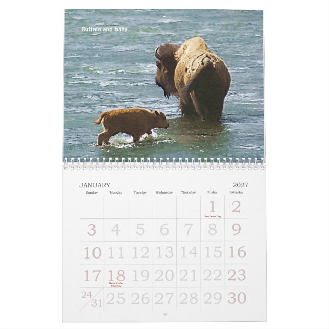 Calendario de la fauna 2008 de Yellowstone (Jan 2027)