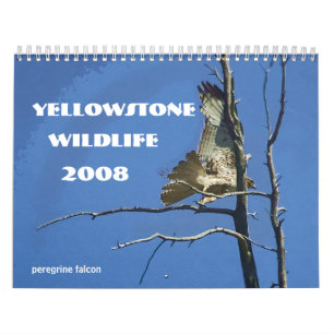 Calendario de la fauna 2008 de Yellowstone