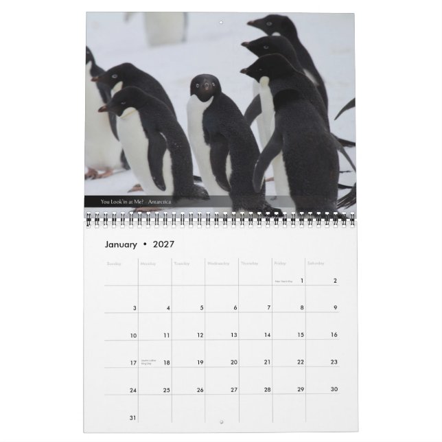 Calendario de la fauna 2012 y del paisaje (Jan 2027)