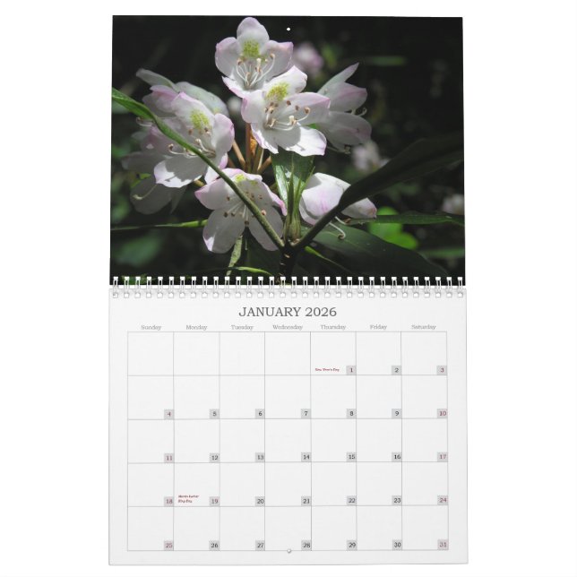 Calendario de la flor (Jan 2026)
