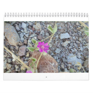 calendario de la flor salvaje
