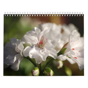 Calendario de la foto de 2008 flores