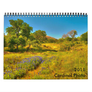 Calendario de la foto de 2011 cardenales