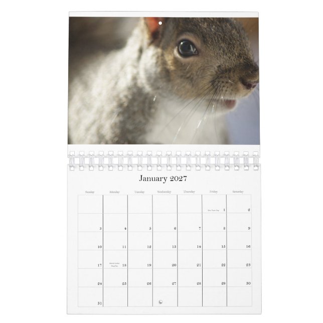 Calendario de la foto del espía del ojo (Jan 2027)