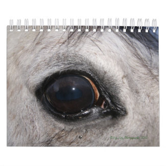 Calendario de la foto del espía del ojo