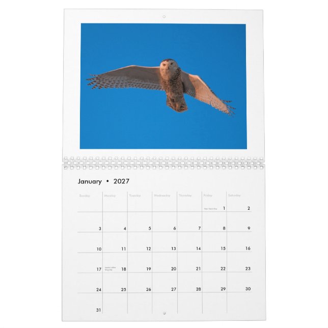Calendario de la fotografía 2015 de Dustin Gabriel (Jan 2027)