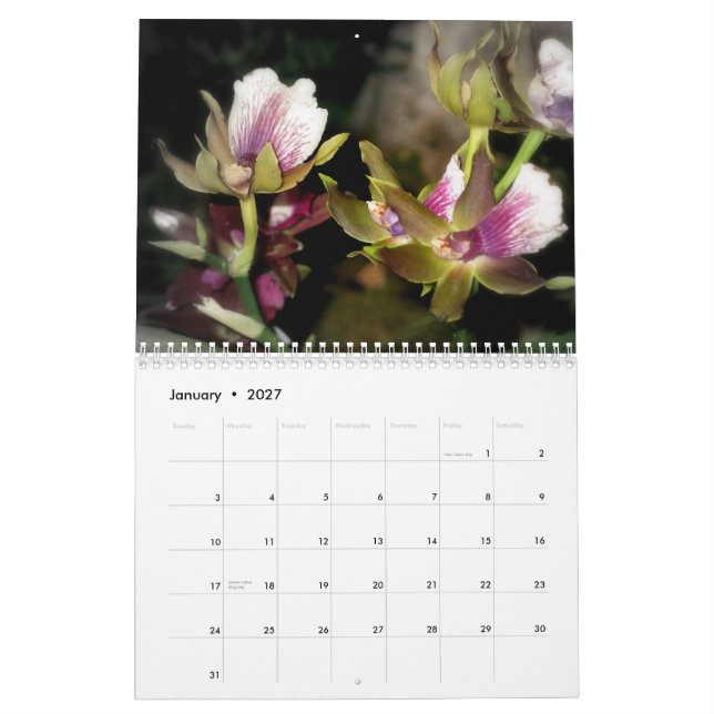Calendario de la fotografía de 2010 flores (Jan 2027)