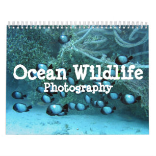 Calendario de la fotografía de la fauna del océa