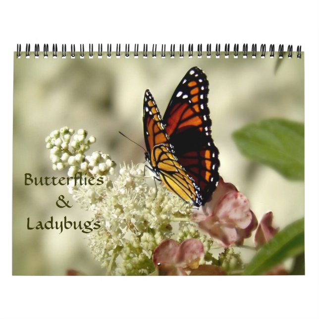 Calendario de la fotografía de las mariposas y de (Tapa)