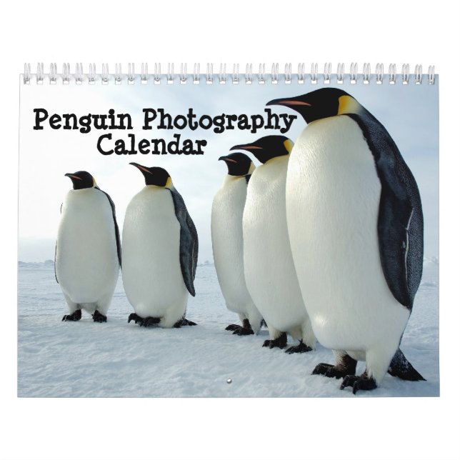 Calendario de la fotografía del pingüino (Tapa)