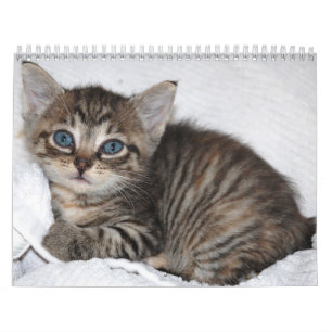 Calendario de la Isla de Man del milagro famoso