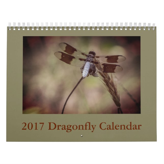 Calendario de la libélula (Tapa)