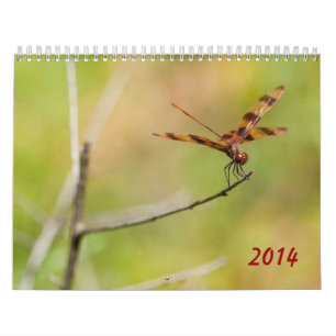 Calendario de la libélula 2014 y del Damselfly
