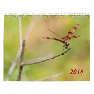Calendario de la libélula 2014 y del Damselfly