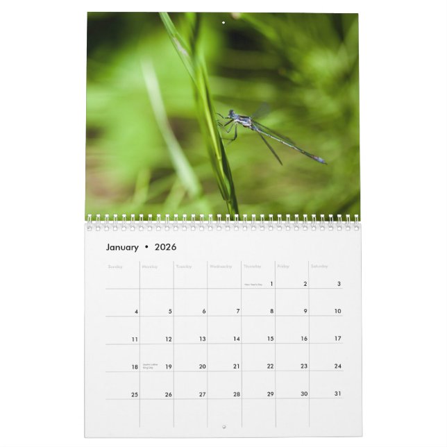Calendario de la libélula 2014 y del Damselfly (Jan 2026)