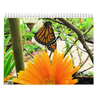 Calendario de la mariposa