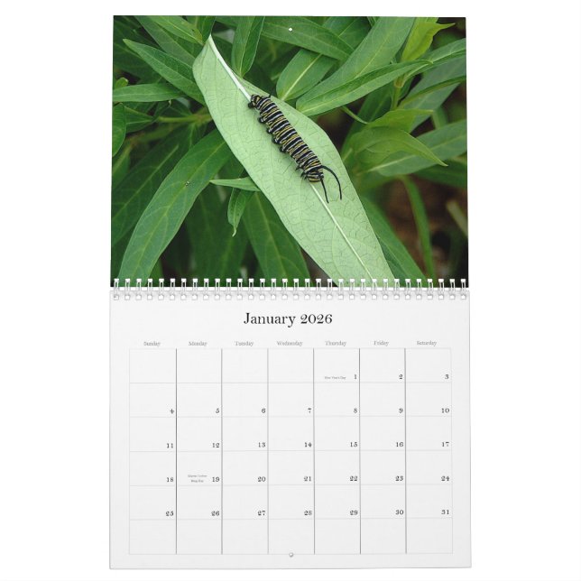 Calendario de la mariposa (Jan 2026)