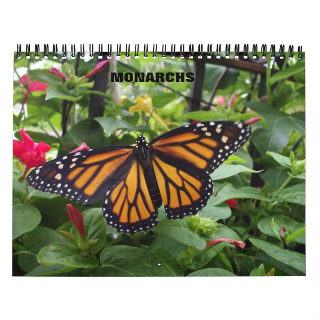 Calendario de la mariposa de monarca (Tapa)