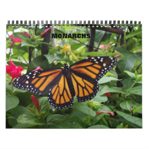 Calendario de la mariposa de monarca