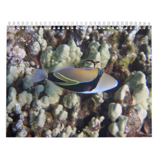 Calendario de la naturaleza