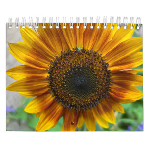 Calendario de la Naturaleza