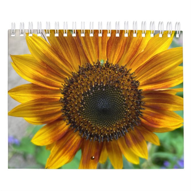 Calendario de la Naturaleza (Tapa)