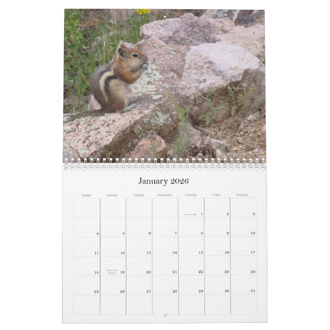 Calendario de la naturaleza de las propiedades de (Jan 2026)
