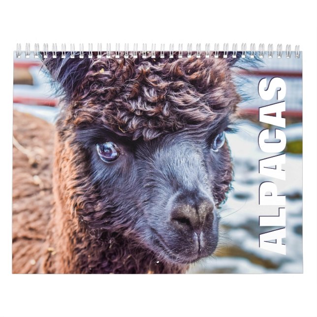 Calendario de la pared de Alpacas (Tapa)