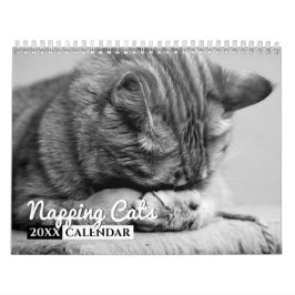 Calendario de la pared de fotos de los gatos de ca