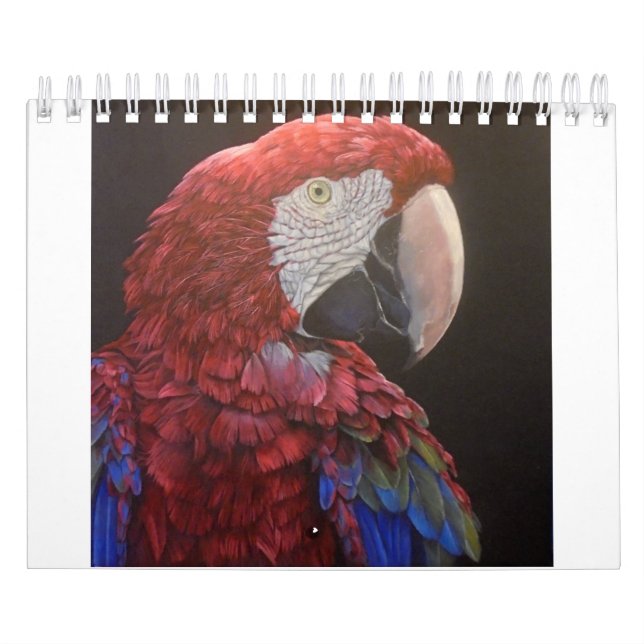 Calendario de la pasión del loro para usted (Tapa)